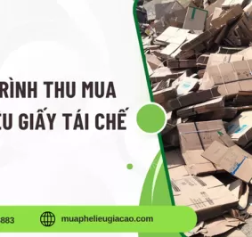 Quy trình thu mua phế liệu giấy tái chế