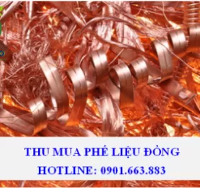 THU MUA PHẾ LIỆU ĐỒNG GIÁ CAO TẠI BÌNH DƯƠNG