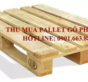 THU MUA PALLET GỖ PHẾ LIỆU GIÁ CAO TẠI TÂY NINH