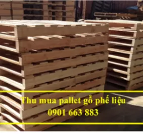 THU MUA PALLET GỖ PHẾ LIỆU GIÁ CAO TẠI BÌNH PHƯỚC