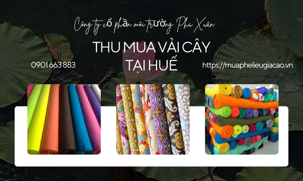 Thu mua vải cây tại Huế
