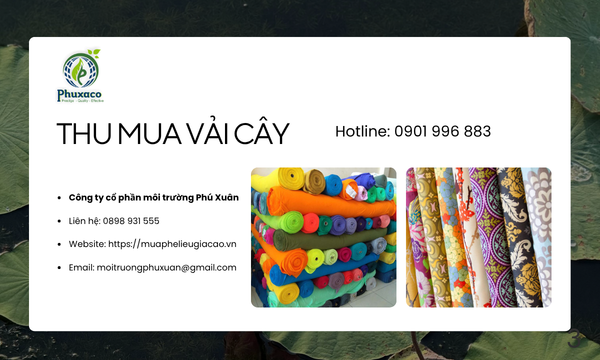Thu mua vải cây tại Huế