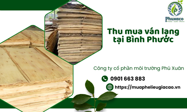 Thu mua ván lạng tại Bình Phước