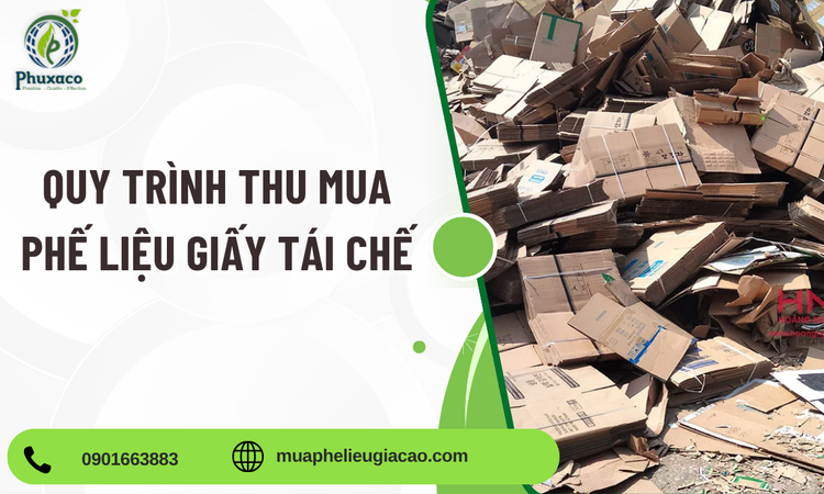 Quy Trình Thu Mua Phế Liệu Giấy Tái Chế Chuyên Nghiệp, Nhanh Chóng Và Hiệu Quả