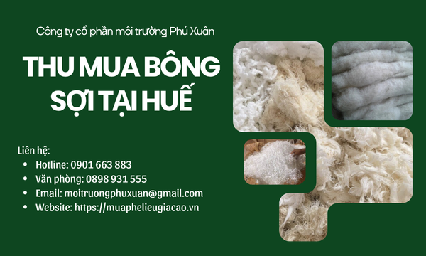 Thu mua bông sợi tại Huế