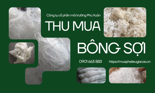 Thu mua bông sợi tại Huế