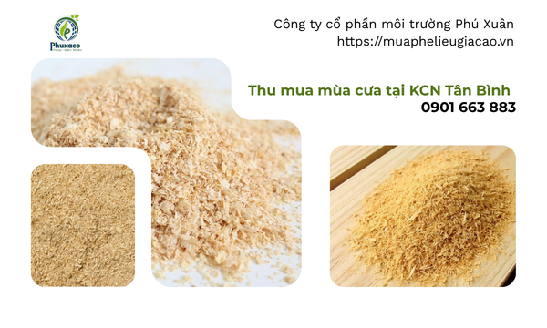 Thu mua mùn cưa tại KCN Tân Bình