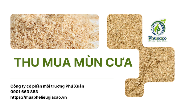Thu mua mùn cưa tại KCN Tân Bình
