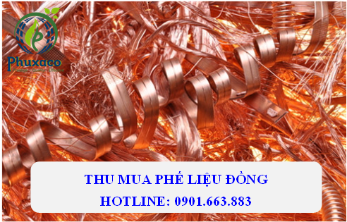 Công ty cổ phần môi trường Phú Xuân