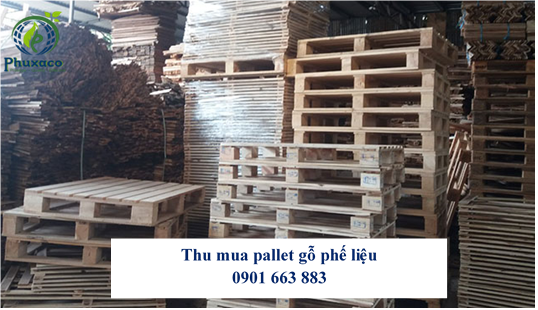 THU MUA PALLET GỖ PHẾ LIỆU GIÁ CAO TẠI TÂY NINH