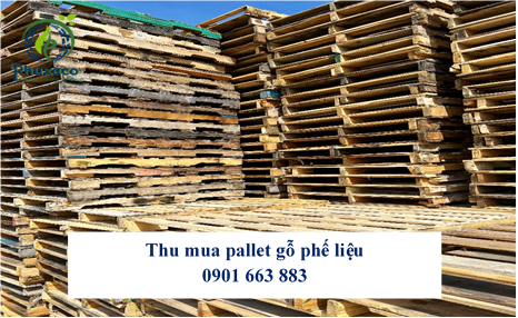 THU MUA PALLET GỖ PHẾ LIỆU GIÁ CAO TẠI TÂY NINH