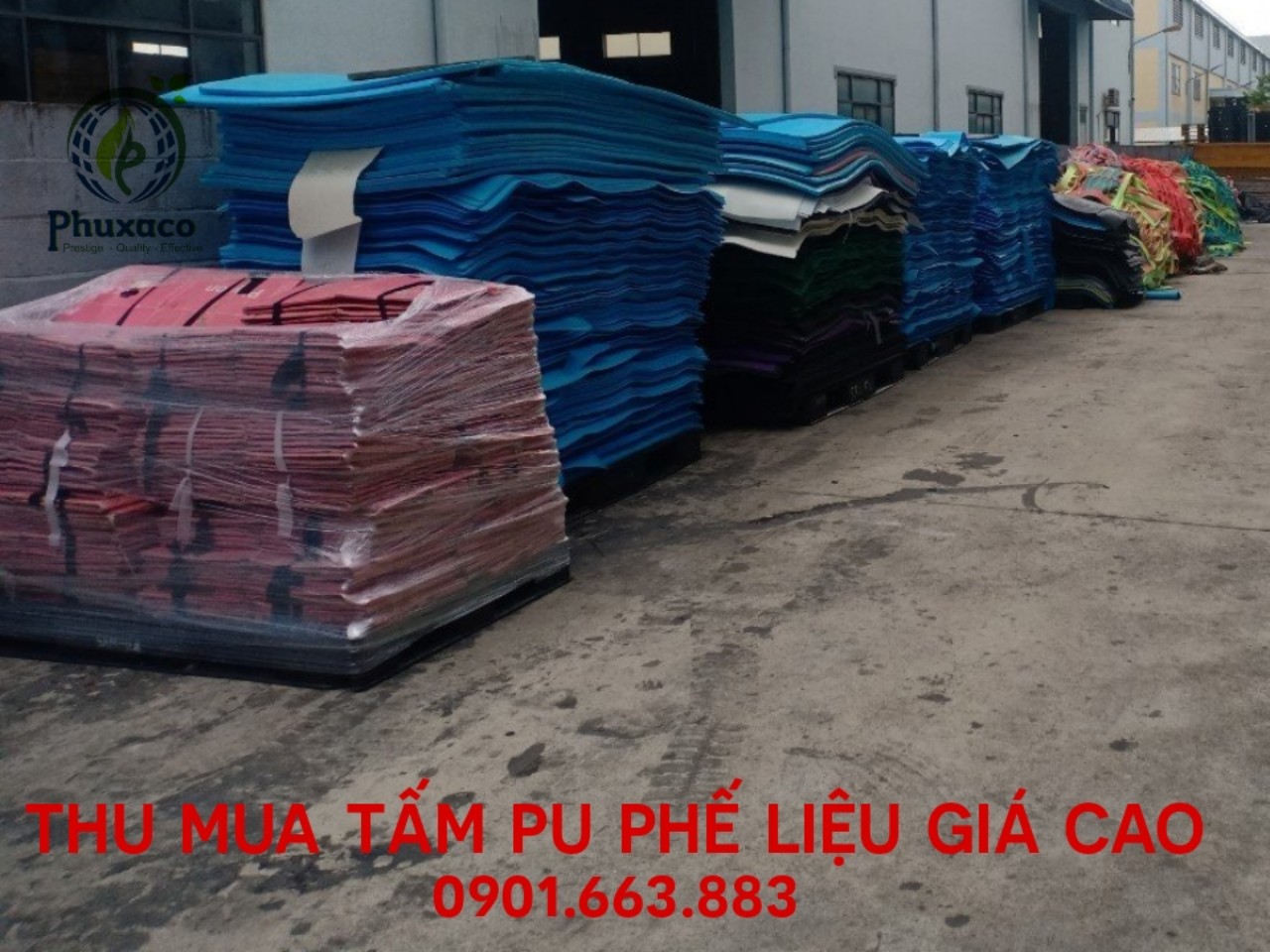 THU MUA TẤM PU GIÁ CAO TẠI BÌNH DƯƠNG