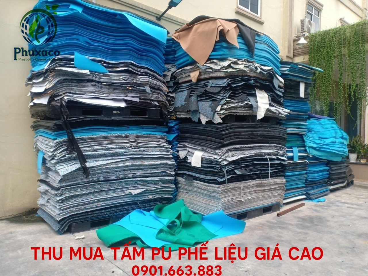 THU MUA TẤM PU GIÁ CAO TẠI BÌNH DƯƠNG